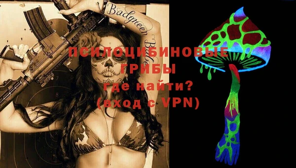 ешки Абаза
