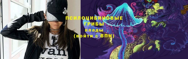 ешки Абаза