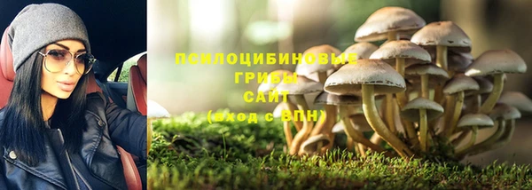ешки Абаза