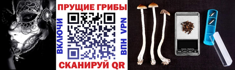 Галлюциногенные грибы мухоморы  как найти закладки  Сольцы 